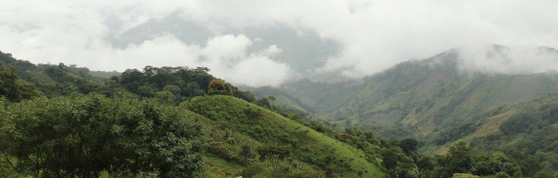 Join the 2017 Chiapas Sustainable Coffee Origin Trip