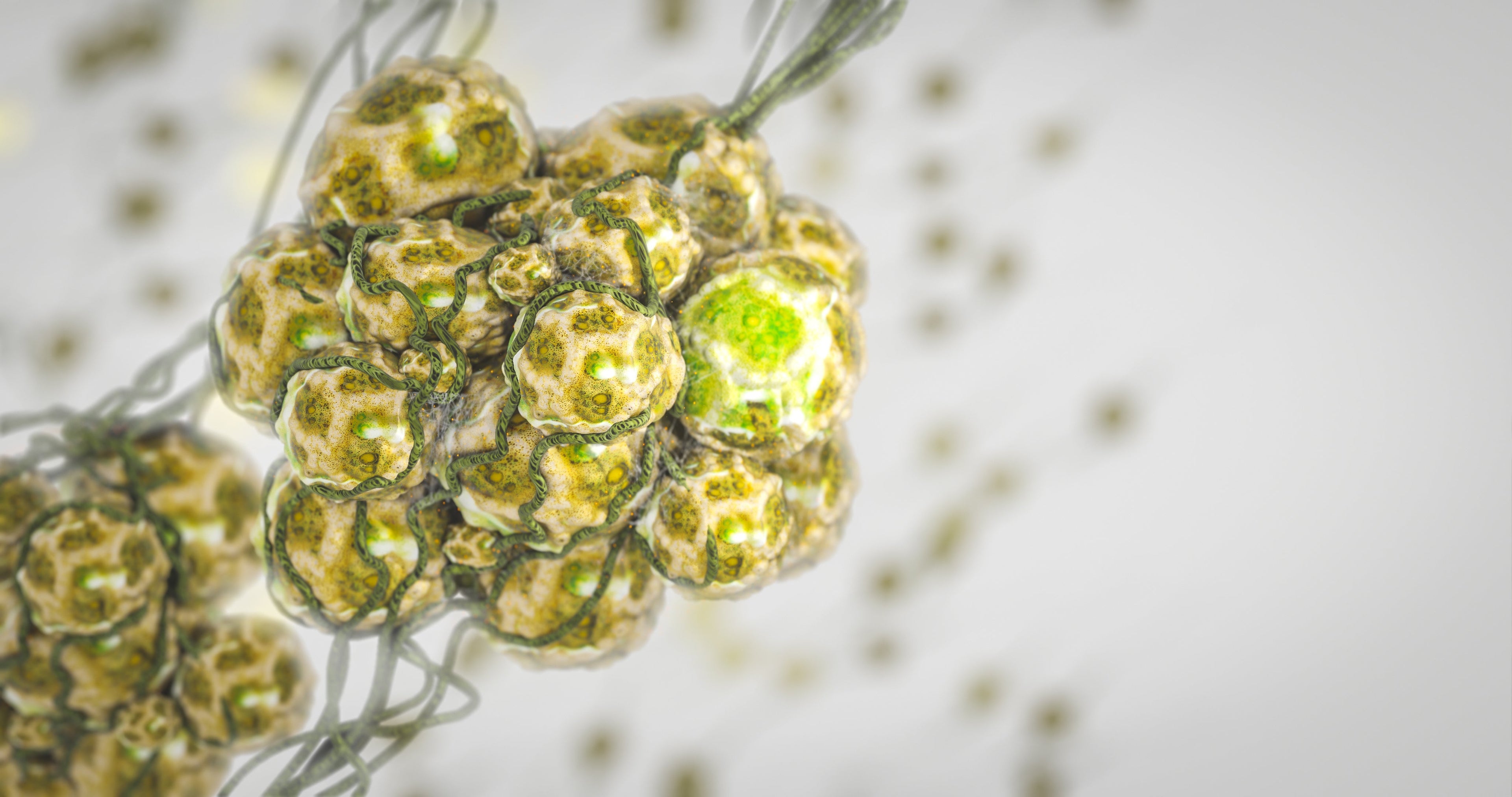 What's the Deal with Mycotoxins?