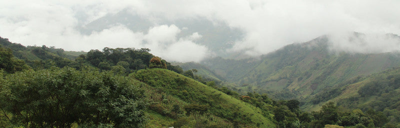 Chiapas Highlands