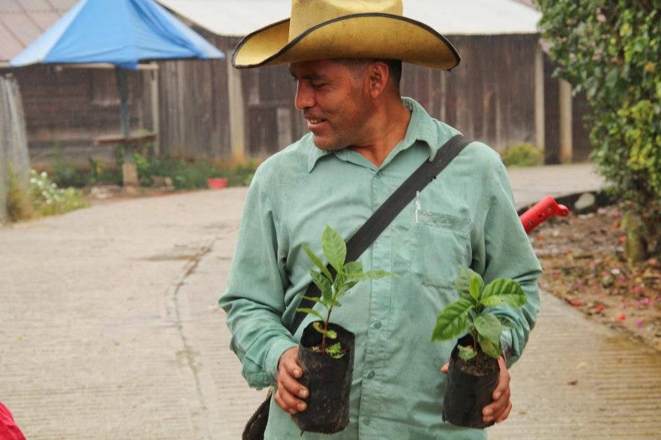 Jose with coffee starts, 2013