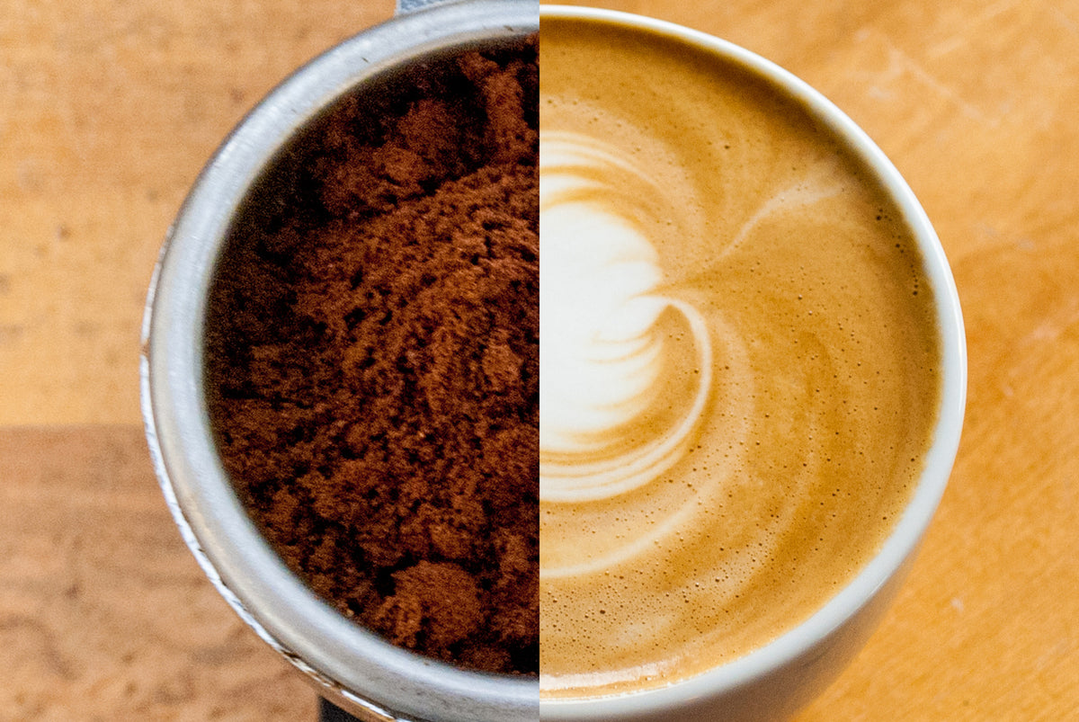 Latte Art Picking Apart a Monk’s Head Higher Grounds Trading