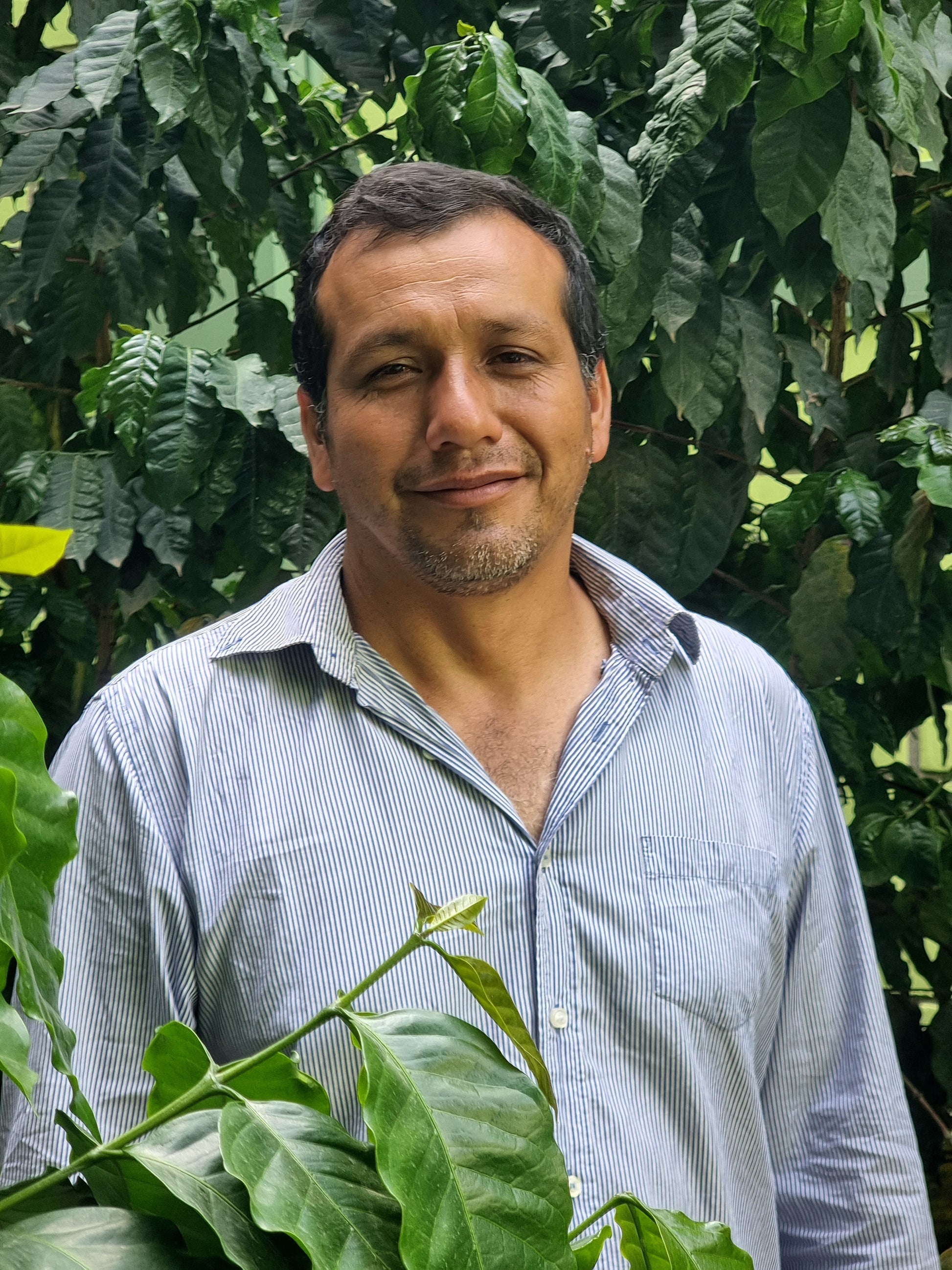 Peru Apex: Homer Gayoso Microlot