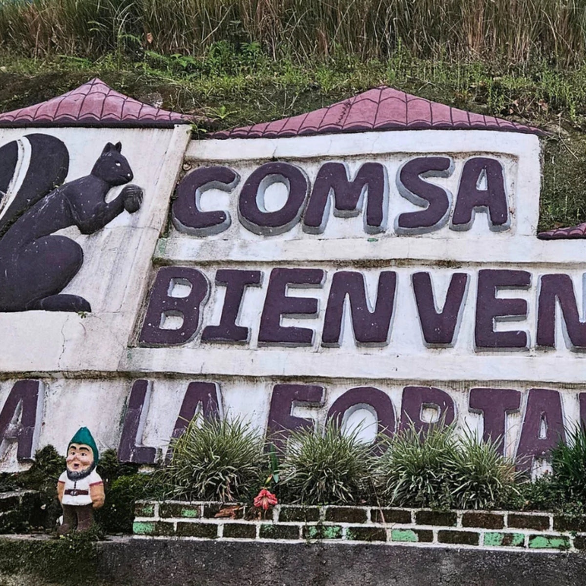 Honduran COMSA cooperative coffee producing location