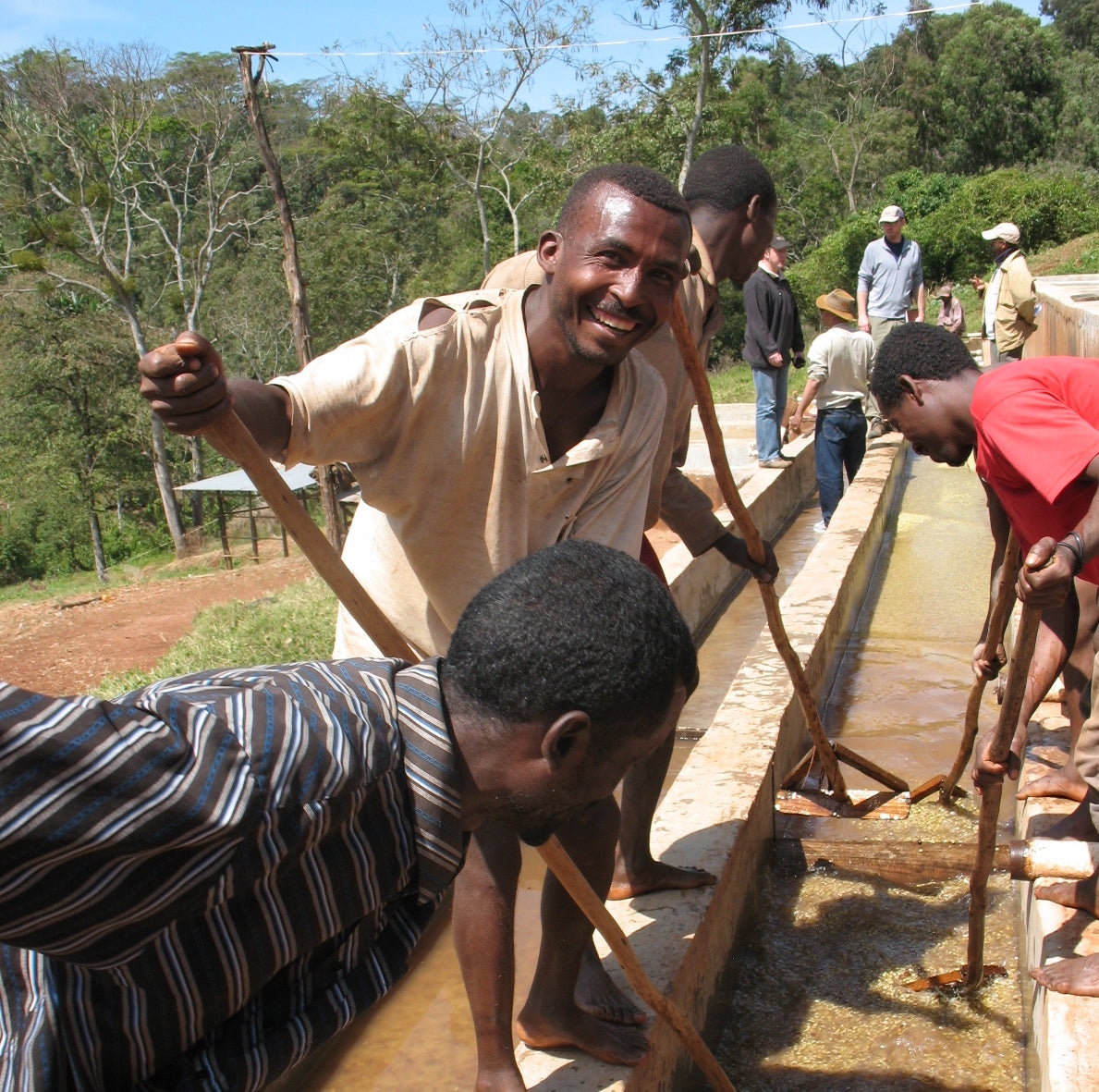 エクサントリーク　EXCENTRIQUE　17A High Teaぺティコート エクサントリーク EXCENTRIQUE 17A High Teaぺティコート エク